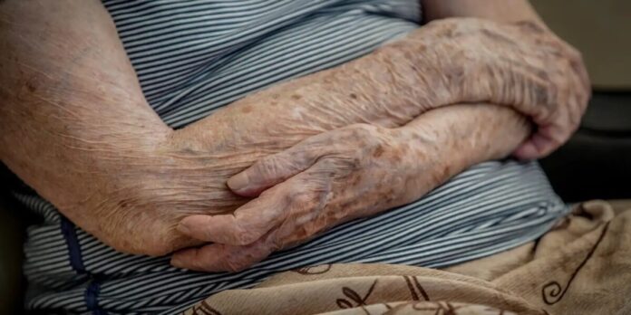 Número de lares com idosos em insegurança alimentar cai em dois anos Número de lares com idosos em insegurança alimentar cai em dois anos