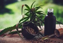 Associações de cannabis medicinal cobram regras claras no país Para associações, normas ainda deixam pontos em aberto sobre cannabis