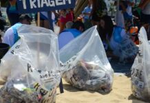Mutirões de limpeza mobilizam praias brasileiras em setembro Praias de cinco estados vão receber mutirões de limpeza em setembro